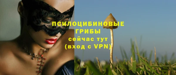 каннабис Арсеньев