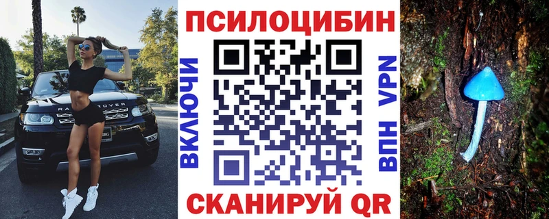 Галлюциногенные грибы Psilocybe  Ивдель 