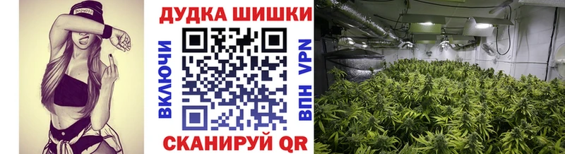Бошки Шишки сатива  MEGA онион  Ивдель  цена наркотик 